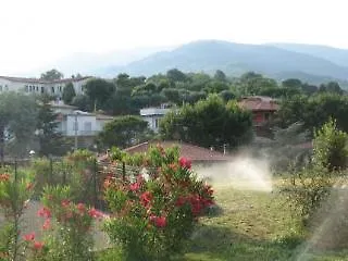 Colle Del Lupo Vellano